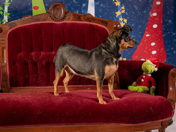 Foster Jolie-6477