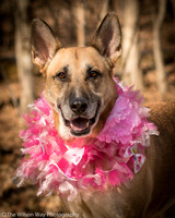 Foster Rita-2457