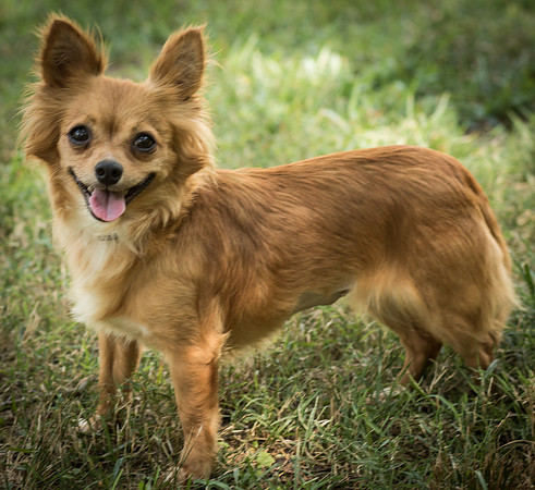 Foster Dolly-7787