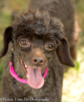 Foster Edna-2935