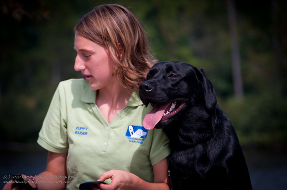 Guide Puppies (21 of 191)