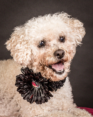 Foster Mae-9104