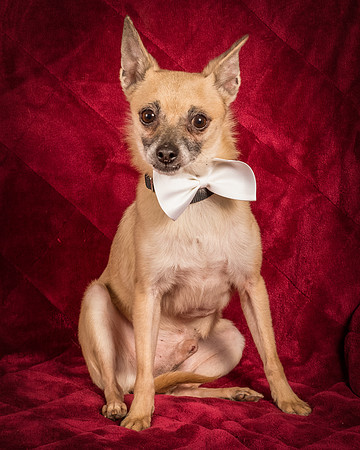 Foster Kiwi-8621