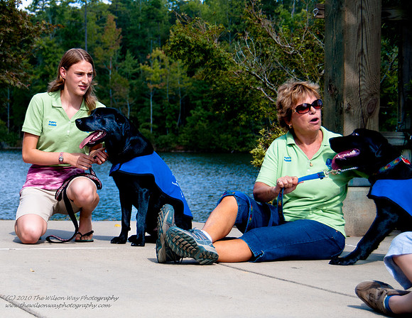 Guide Puppies (7 of 191)