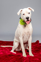 Foster Molly-3695