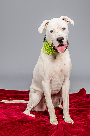 Foster Molly-3695