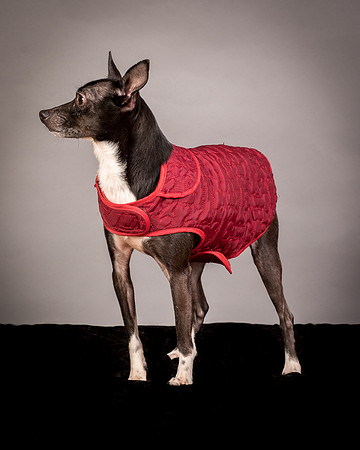 Foster Luc-9839