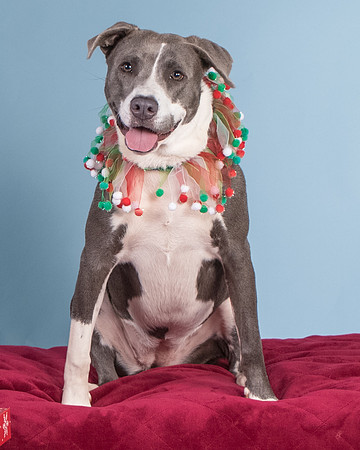 Foster Juliana-8077