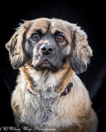 Foster Trudy-30