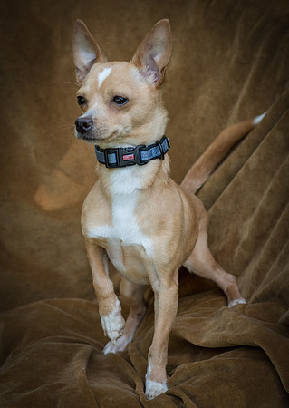Foster Tony-8789