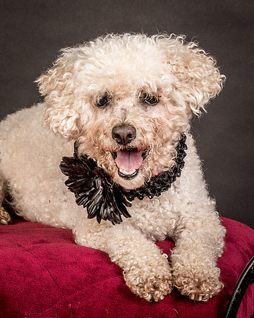 Foster Mae-9143