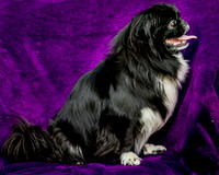 Foster Prince-0756