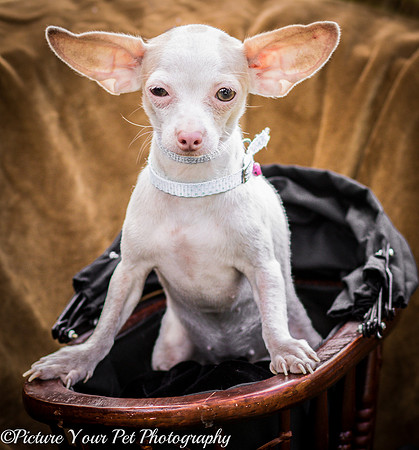 Foster Marion-3816