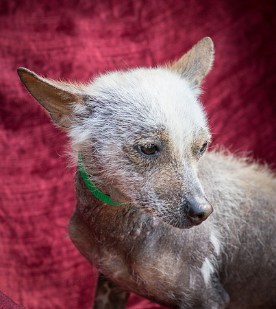 Foster Jillian-8617