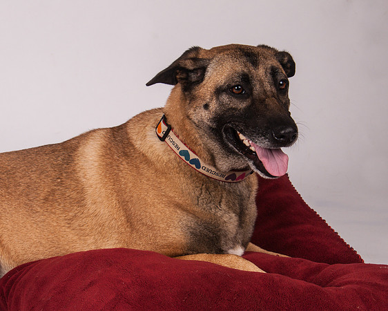 Foster-06-MW-2959