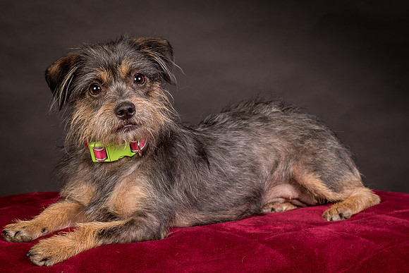 Foster Nadine-9608