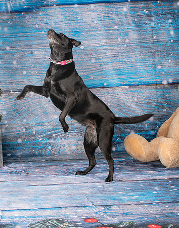 Foster Beatrice-4060