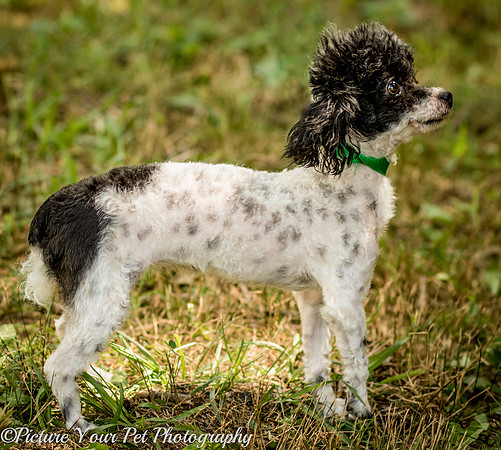 Foster Lillian-3009