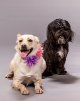 Maggie and Henry-7153