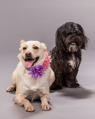 Maggie and Henry-7153