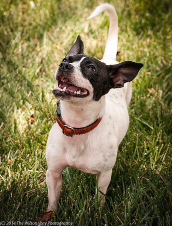 Foster Melia-9817