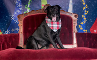 Foster Beatrice-3986