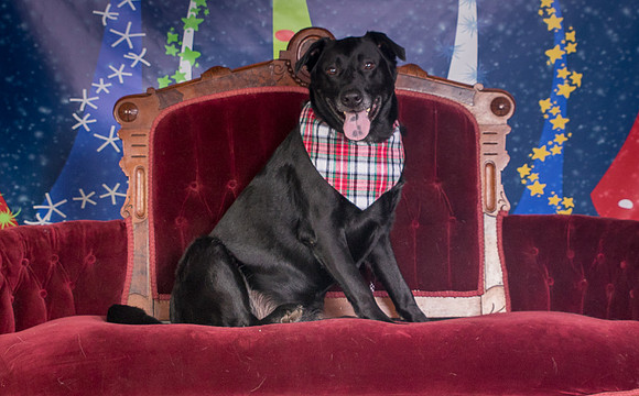 Foster Beatrice-3986