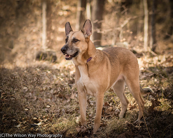 Foster Rita-2519