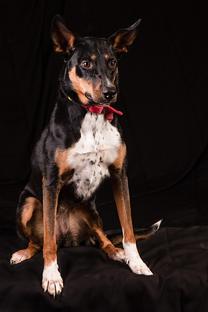 Foster Mia-1243