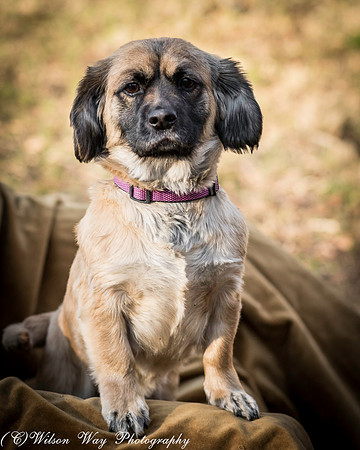 Foster Trudy-6