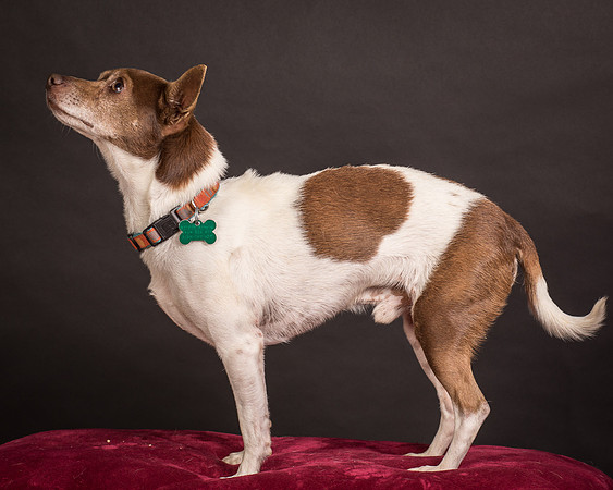 Foster Gus-0351