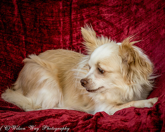 Foster Sam-4063