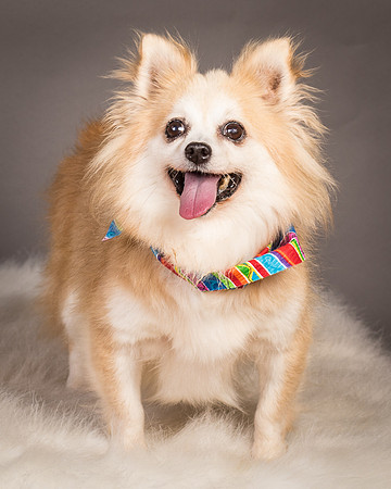 Foster Lilly-3395