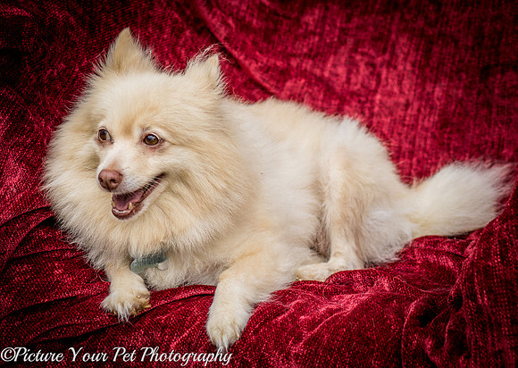 Foster Laverne-6214