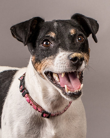 Foster Pollyanna-3946