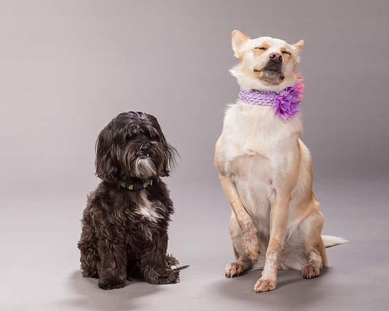 Maggie and Henry-7133