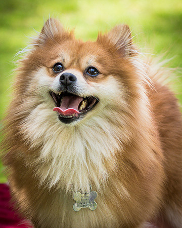 Foster Quincy-7783