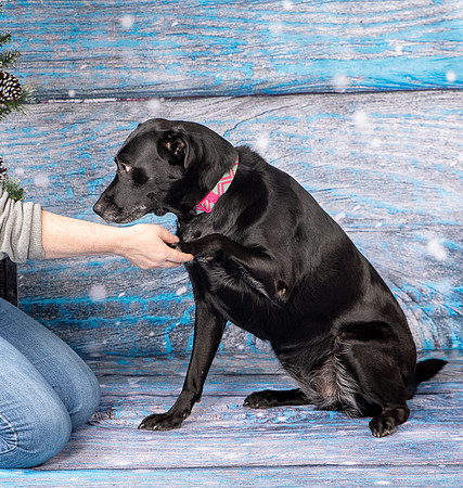 Foster Beatrice-4050
