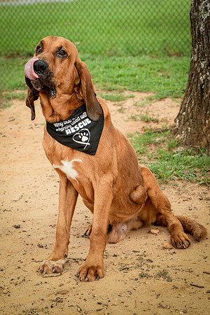 Roscoe-0516