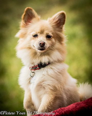 Foster Shirley-6154