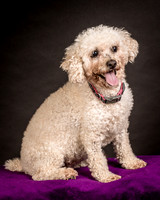 Foster Mae-8978