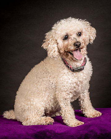Foster Mae-8978