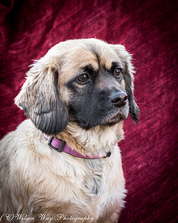 Foster Trudy-43