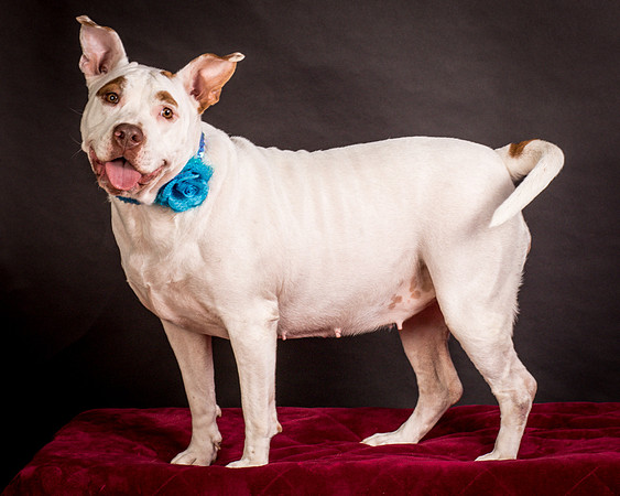 Foster Joanie-0456