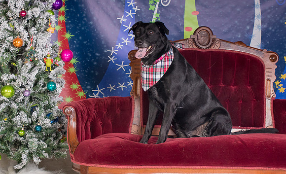 Foster Beatrice-3988