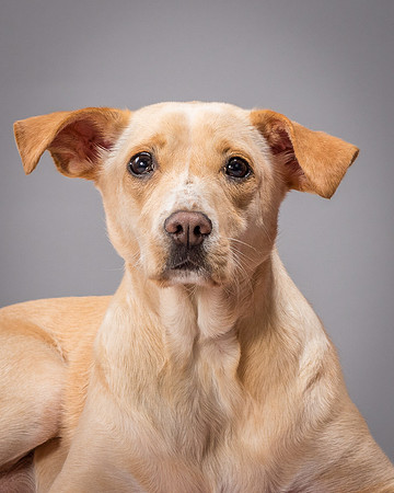 Foster June-3495