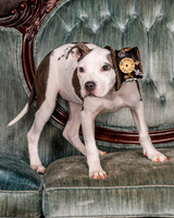 Foster Luna-4665