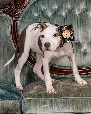 Foster Luna-4665