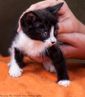 Foster Ghost-6582