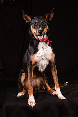Foster Mia-1251